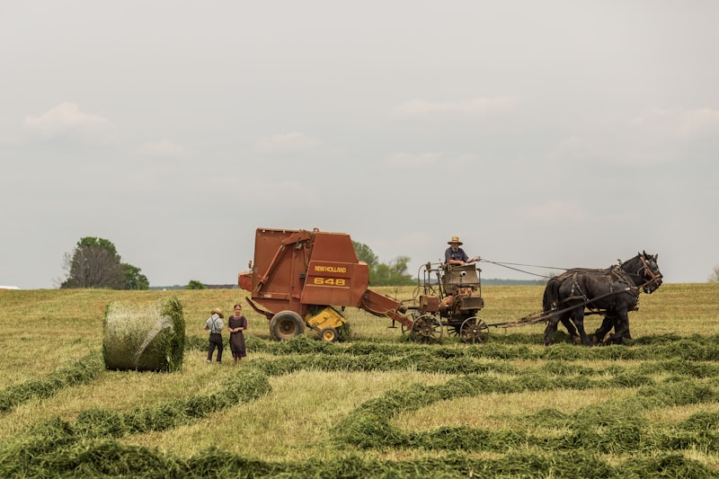 Farming Simulator 19 Felsbrunn Haritası İndir